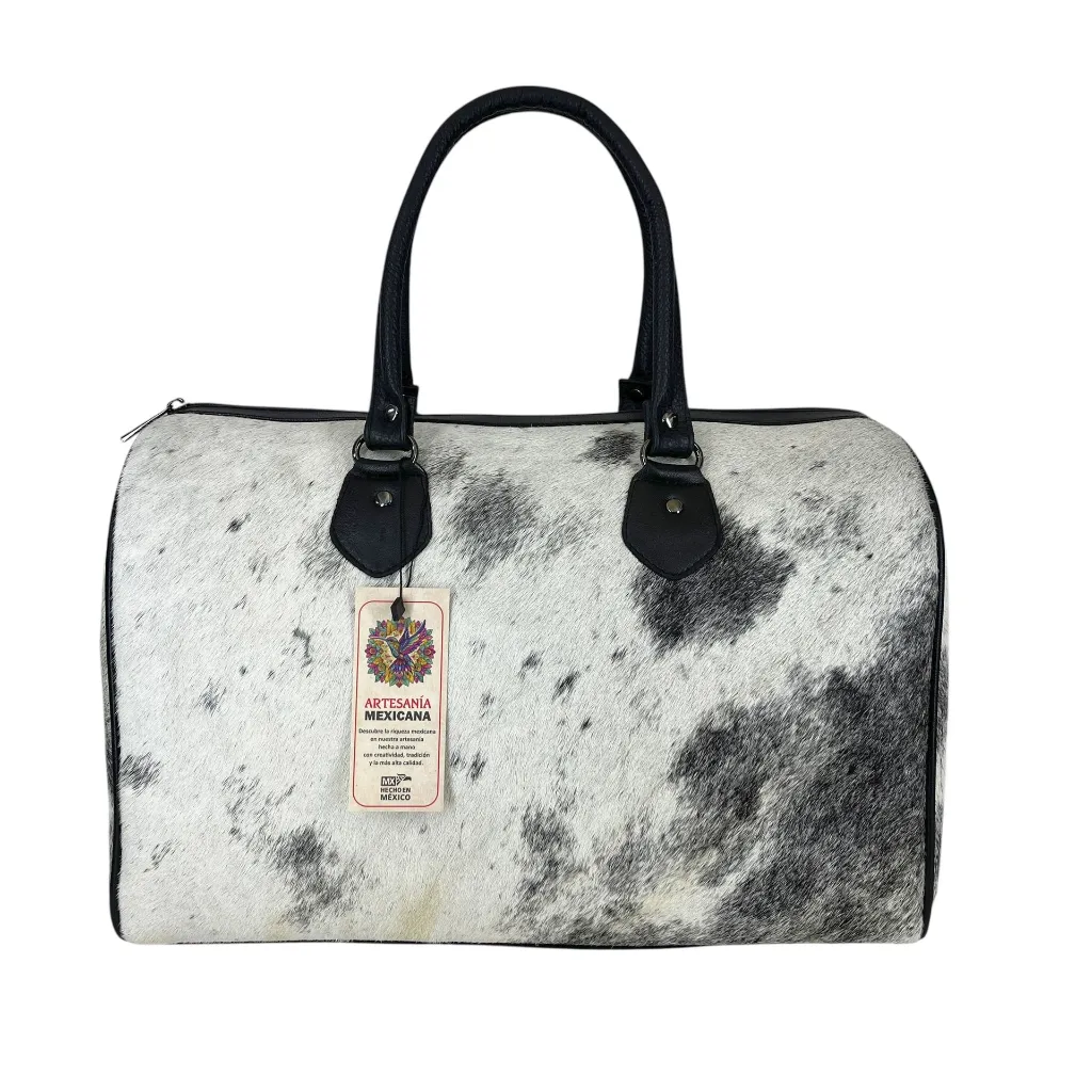 B2MAPXPVINE (1).webp