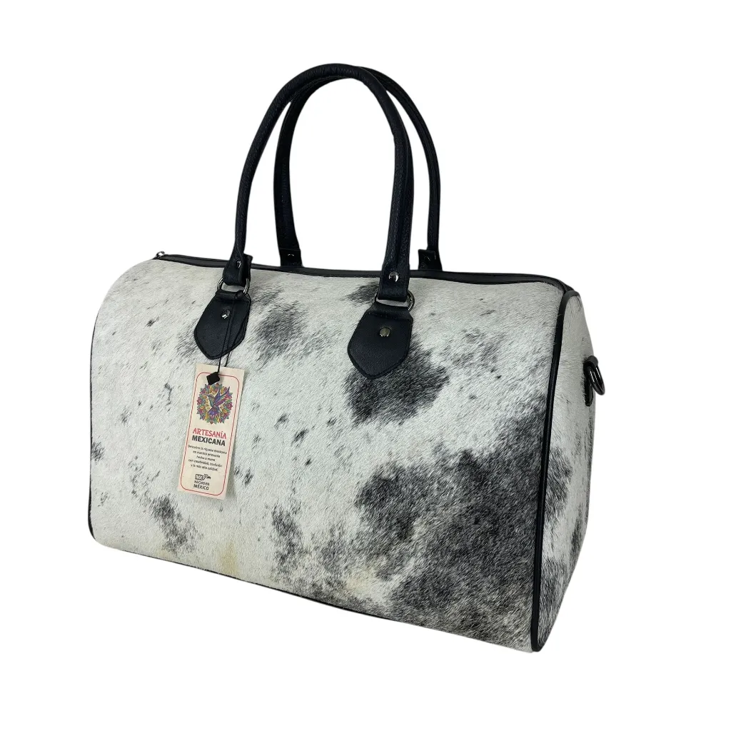 B2MAPXPVINE (2).webp