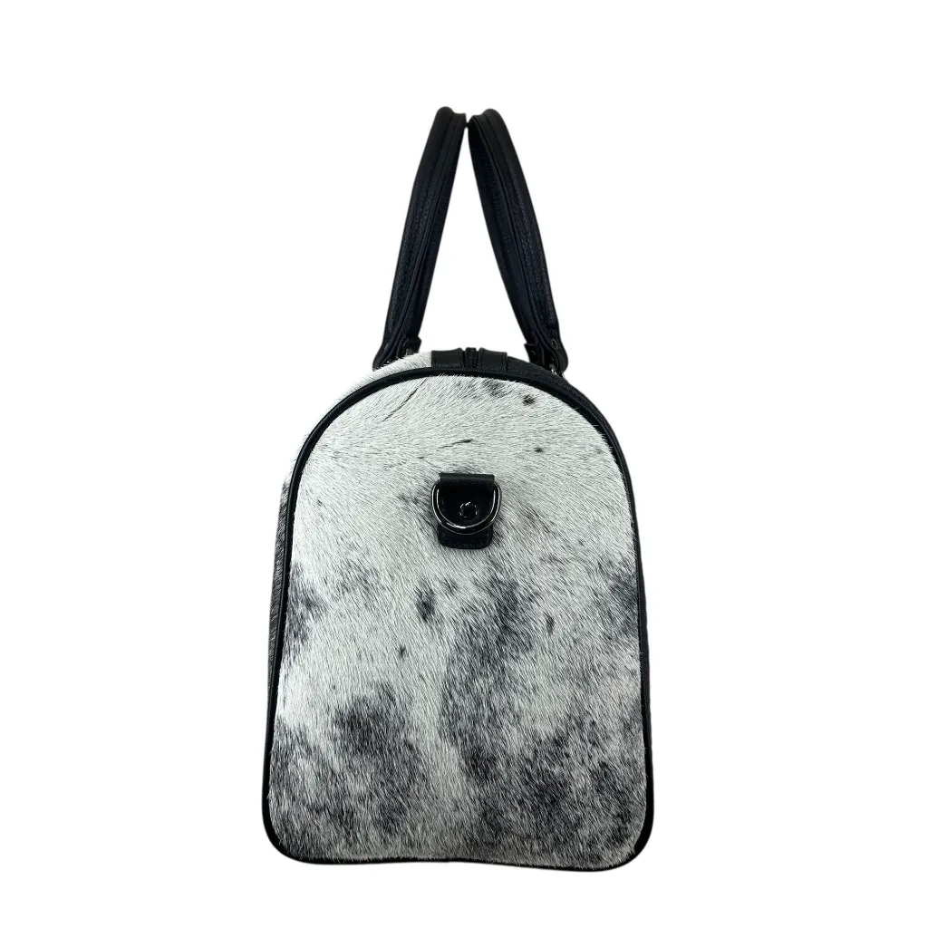 B2MAPXPVINE (3).webp