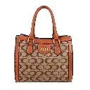 IMPORTACION BOLSO MEDIANO COACH CAPUCHINO/SHEDRON